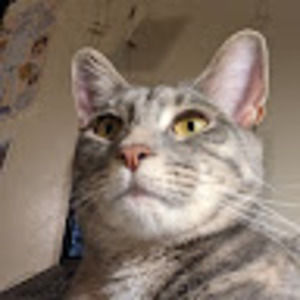 Meet your Posher, Sam